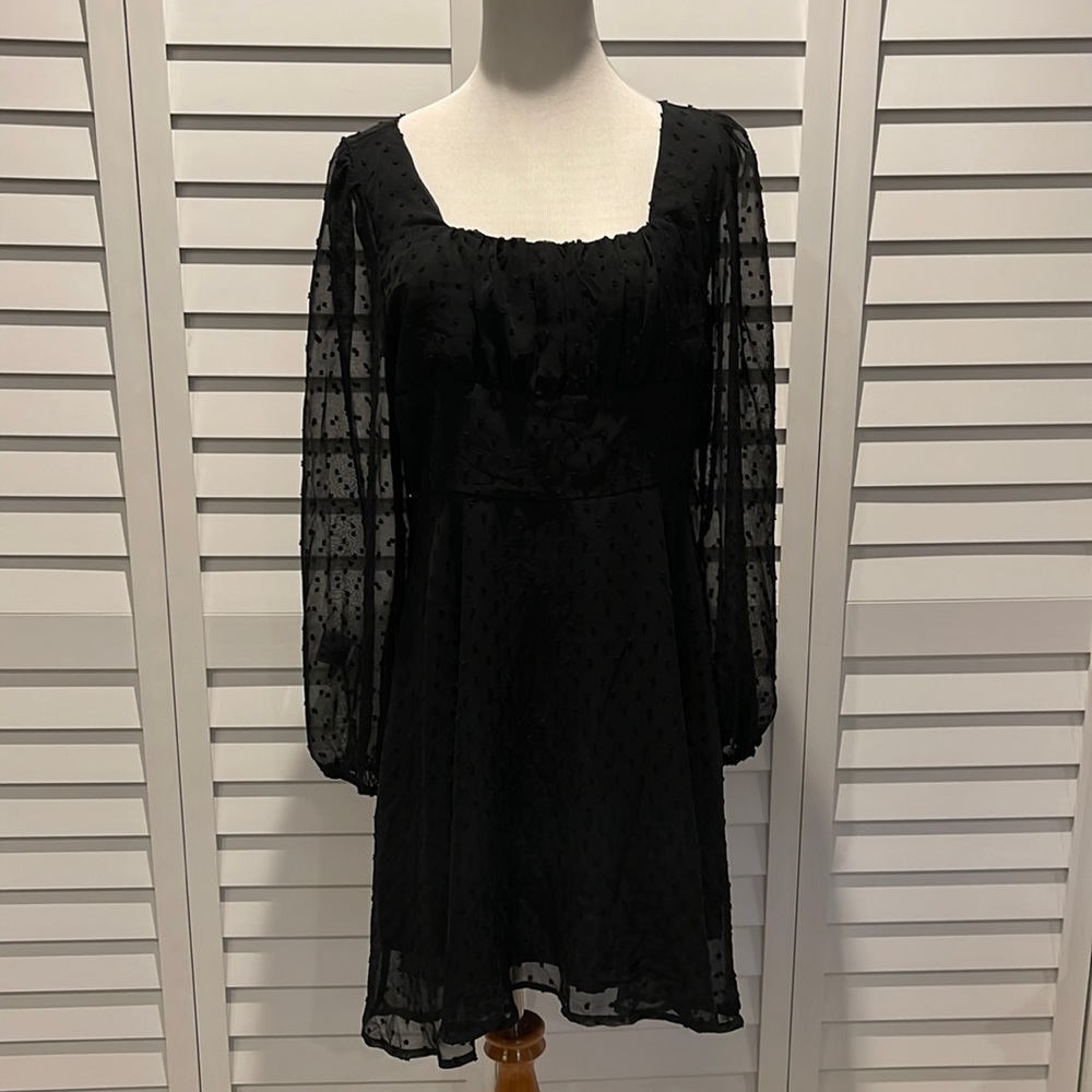 Lyaner Black gorgeous Dress in Swiss Dots Fabric. Long sheer Sleeves, lined. - Picture 2 of 8